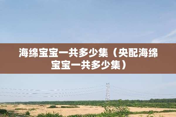 海绵宝宝一共多少集（央配海绵宝宝一共多少集）
