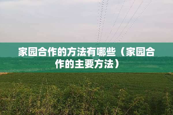 家园合作的方法有哪些（家园合作的主要方法）