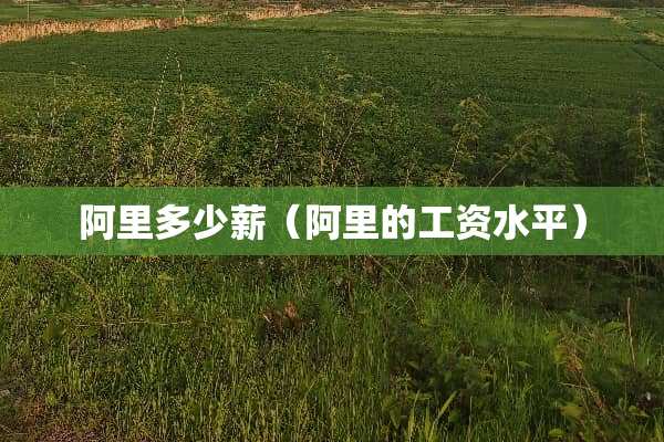 阿里多少薪（阿里的工资水平）