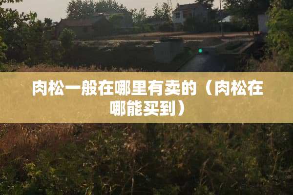 肉松一般在哪里有卖的（肉松在哪能买到）