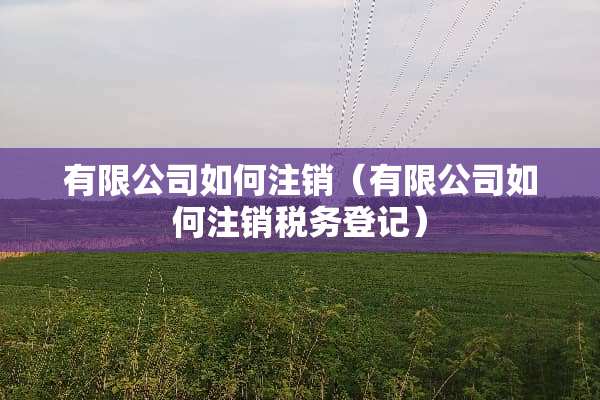 有限公司如何注销（有限公司如何注销税务登记）