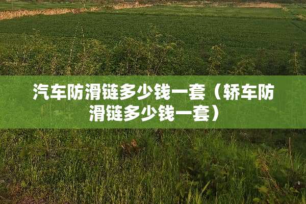 汽车防滑链多少钱一套（轿车防滑链多少钱一套）