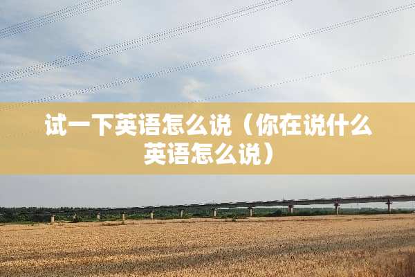 试一下英语怎么说（你在说什么英语怎么说）
