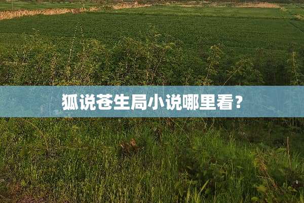 狐说苍生局小说哪里看？