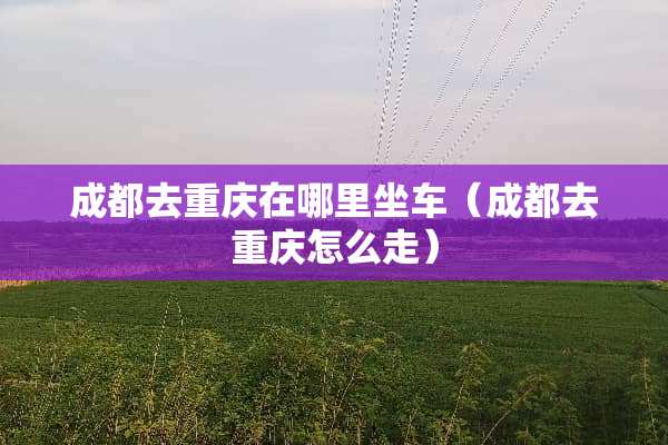 成都去重庆在哪里坐车（成都去重庆怎么走）
