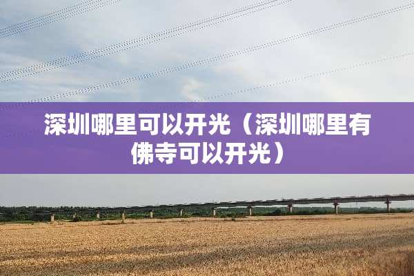深圳哪里可以开光（深圳哪里有佛寺可以开光）