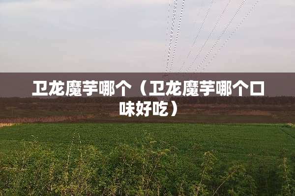 卫龙魔芋哪个（卫龙魔芋哪个口味好吃）