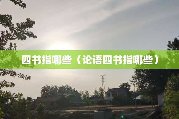 四书指哪些（论语四书指哪些）
