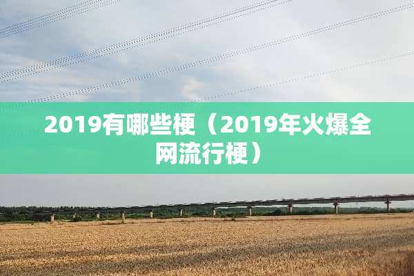 2019有哪些梗（2019年火爆全网流行梗）