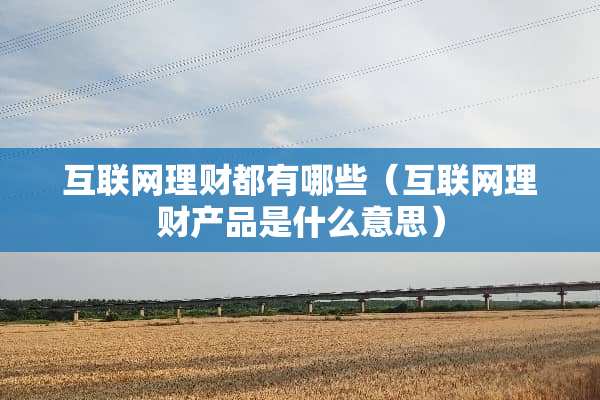 互联网理财都有哪些（互联网理财产品是什么意思）
