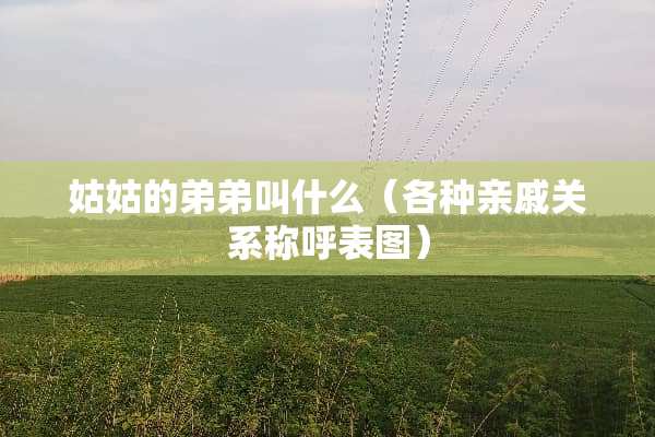 姑姑的弟弟叫什么（各种亲戚关系称呼表图）