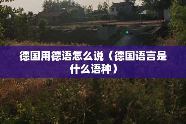 德国用德语怎么说（德国语言是什么语种）