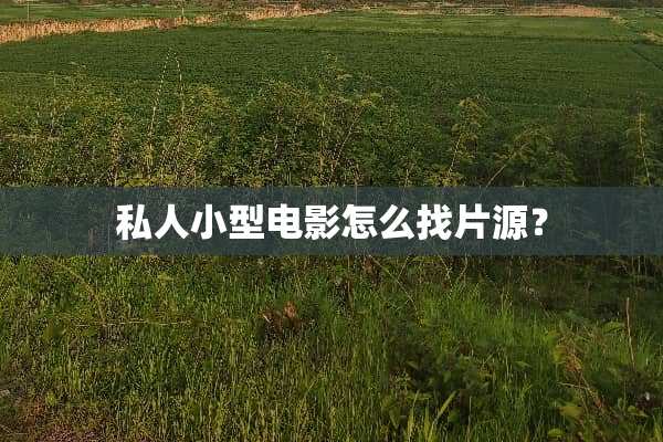 私人小型电影怎么找片源？