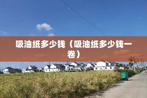 吸油纸多少钱（吸油纸多少钱一卷）