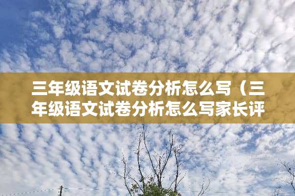 三年级语文试卷分析怎么写（三年级语文试卷分析怎么写家长评语）
