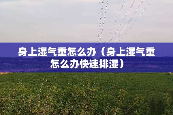 身上湿气重怎么办（身上湿气重怎么办快速排湿）