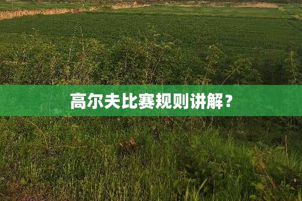 高尔夫比赛规则讲解？