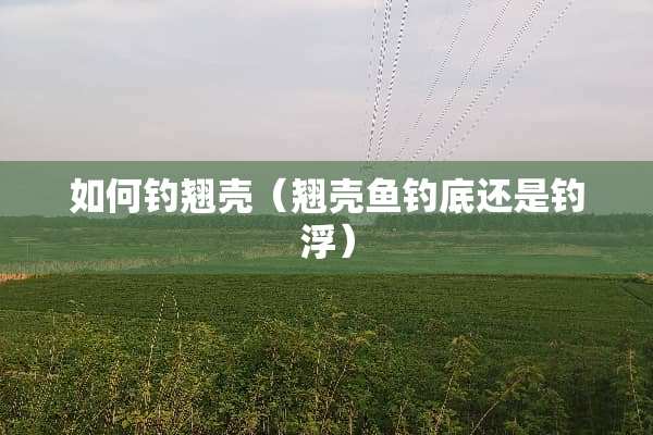 如何钓翘壳（翘壳鱼钓底还是钓浮）