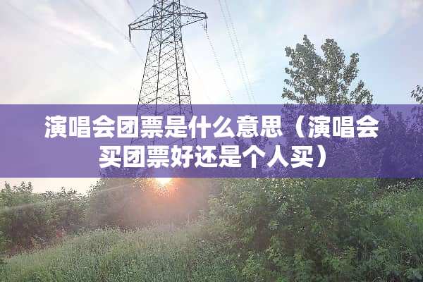 演唱会团票是什么意思（演唱会买团票好还是个人买）