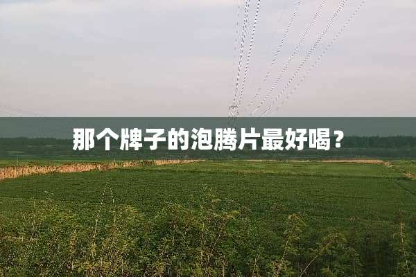 那个牌子的泡腾片最好喝？