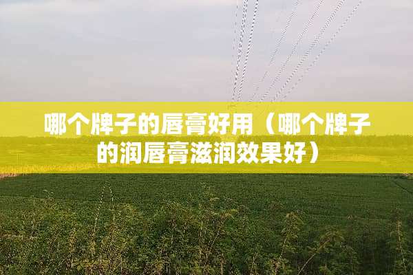哪个牌子的唇膏好用（哪个牌子的润唇膏滋润效果好）