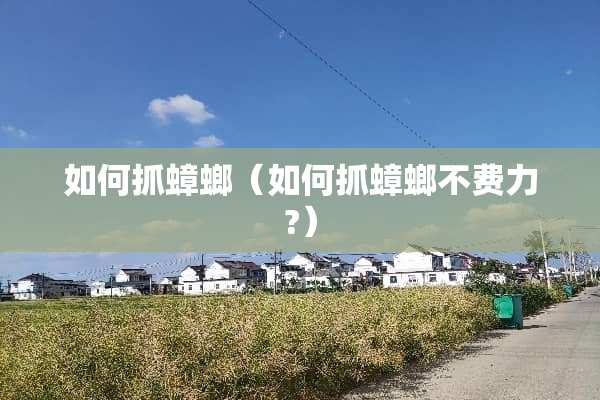 如何抓蟑螂（如何抓蟑螂不费力?）