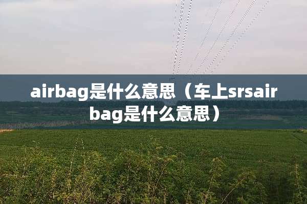 airbag是什么意思（车上srsairbag是什么意思）
