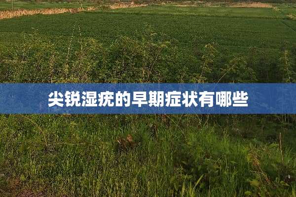 尖锐湿疣的早期症状有哪些