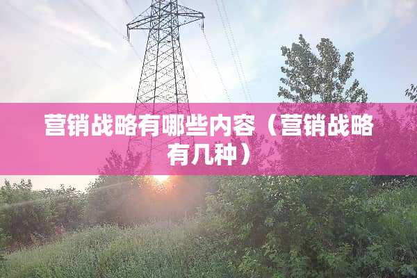 营销战略有哪些内容（营销战略有几种）