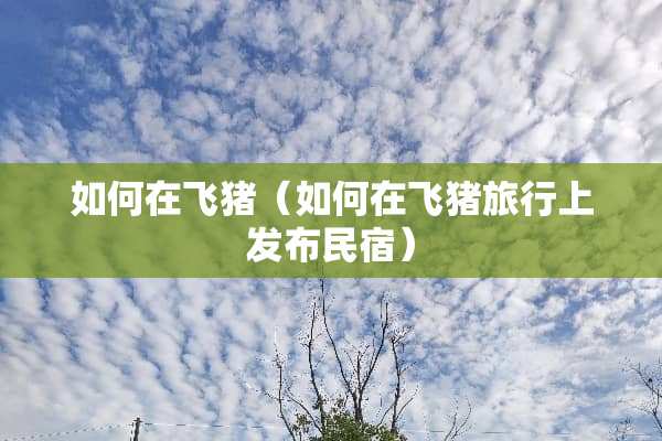 如何在飞猪（如何在飞猪旅行上发布民宿）