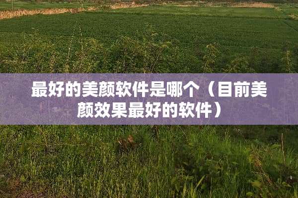 最好的美颜软件是哪个（目前美颜效果最好的软件）
