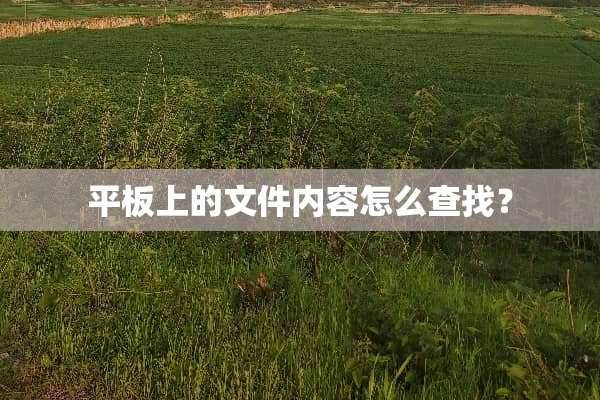 平板上的文件内容怎么查找？