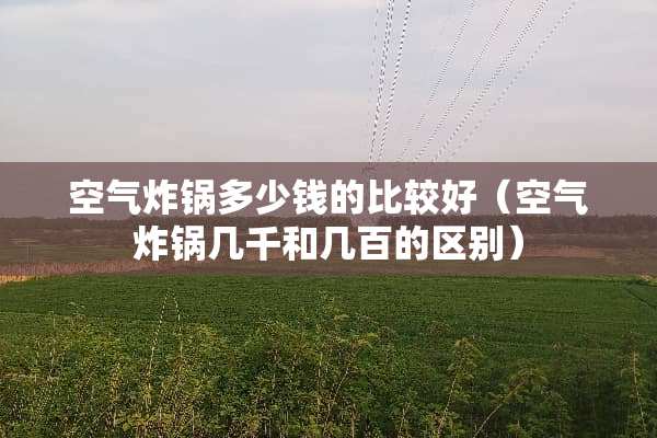 空气炸锅多少钱的比较好（空气炸锅几千和几百的区别）