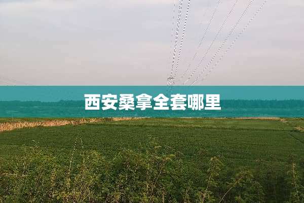 西安****哪里