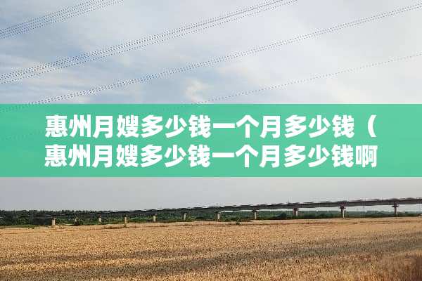 惠州月嫂多少钱一个月多少钱（惠州月嫂多少钱一个月多少钱啊）