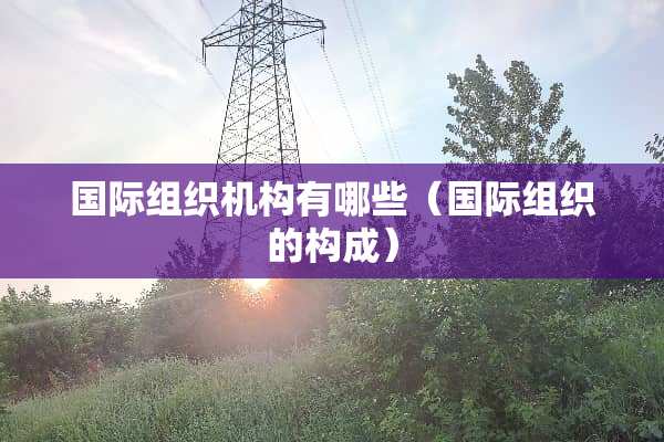 国际组织机构有哪些（国际组织的构成）