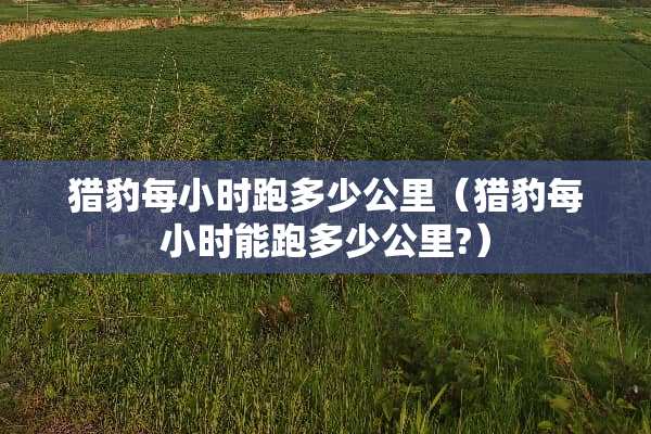 **每小时跑多少公里（**每小时能跑多少公里?）