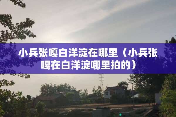 小兵张嘎白洋淀在哪里（小兵张嘎在白洋淀哪里拍的）