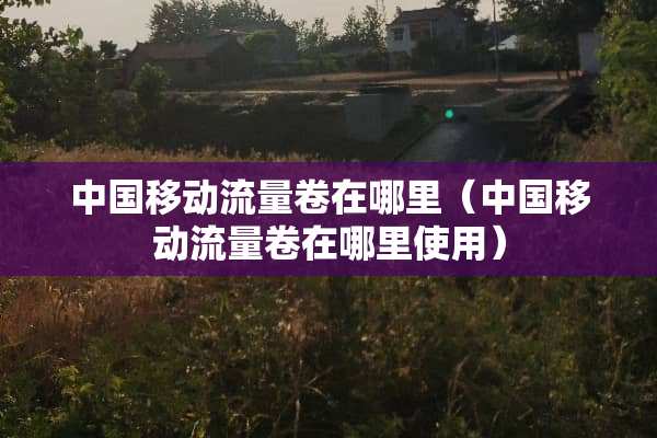 中国移动流量卷在哪里（中国移动流量卷在哪里使用）