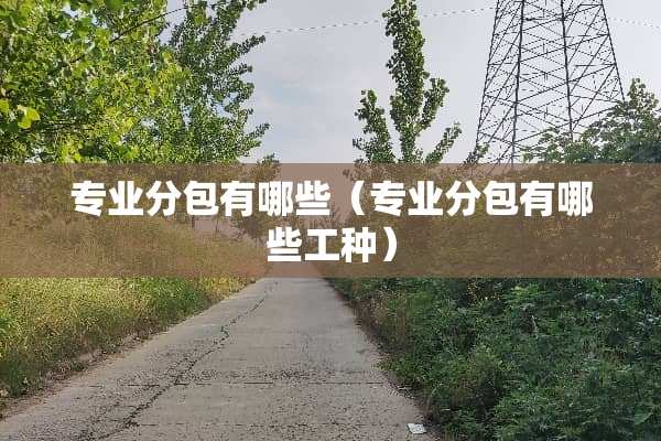专业分包有哪些（专业分包有哪些工种）