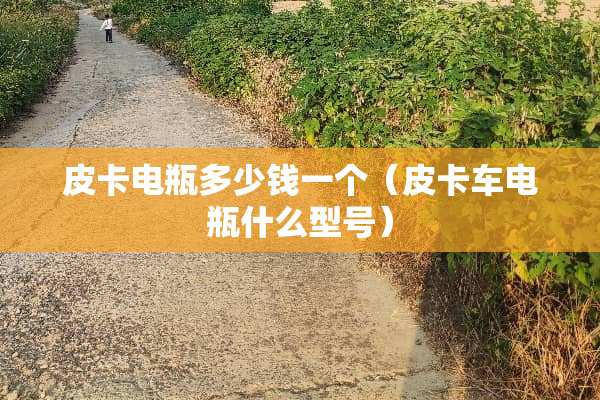 皮卡电瓶多少钱一个（皮卡车电瓶什么型号）