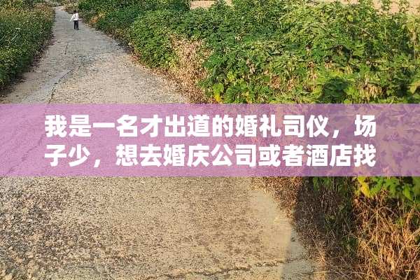 我是一名才出道的婚礼司仪，场子少，想去婚庆公司或者酒店找工作，不知道怎么找？