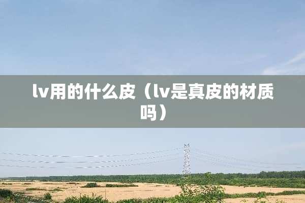 lv用的什么皮（lv是真皮的材质吗）
