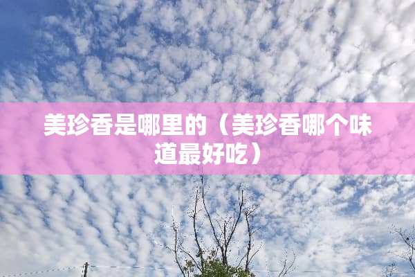 美珍香是哪里的（美珍香哪个味道最好吃）