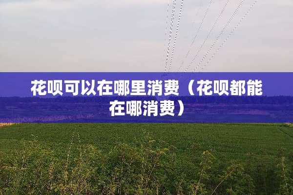 花呗可以在哪里消费（花呗都能在哪消费）
