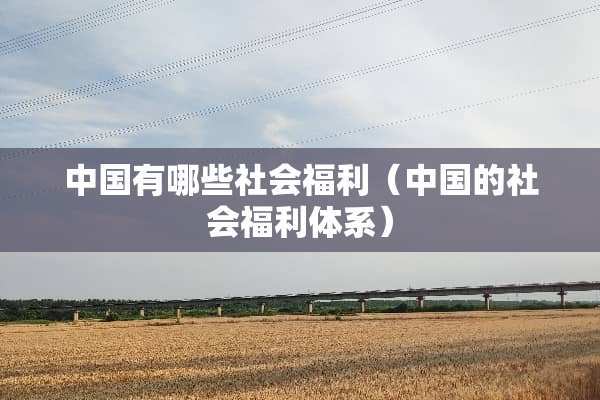 中国有哪些社会福利（中国的社会福利体系）