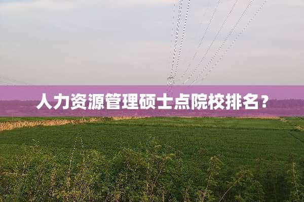 人力资源管理硕士点院校排名？
