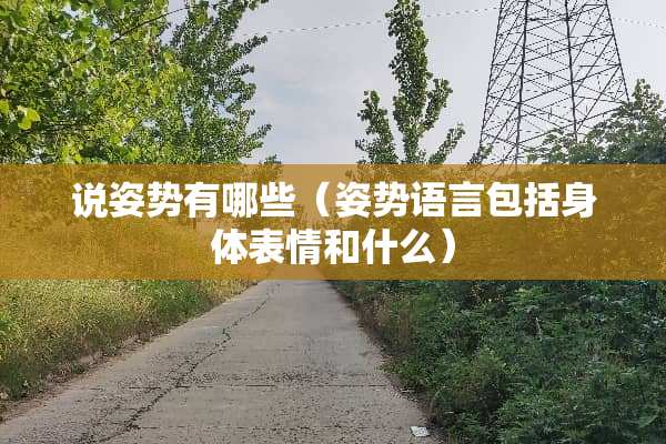 说姿势有哪些（姿势语言包括身体表情和什么）