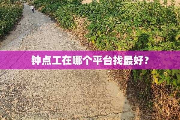 钟点工在哪个平台找最好？