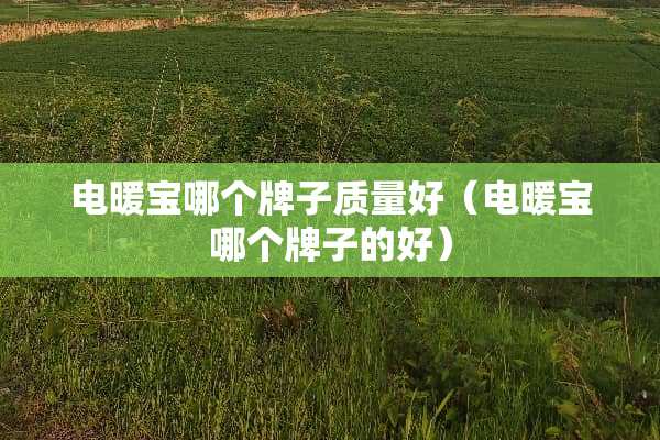 电暖宝哪个牌子质量好（电暖宝哪个牌子的好）